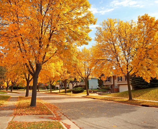 Residential Neighborhood in Autumn